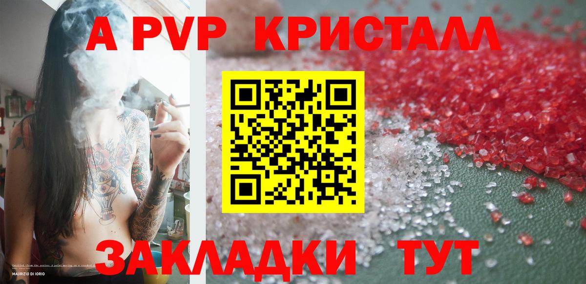 A PVP СК КРИС Луга