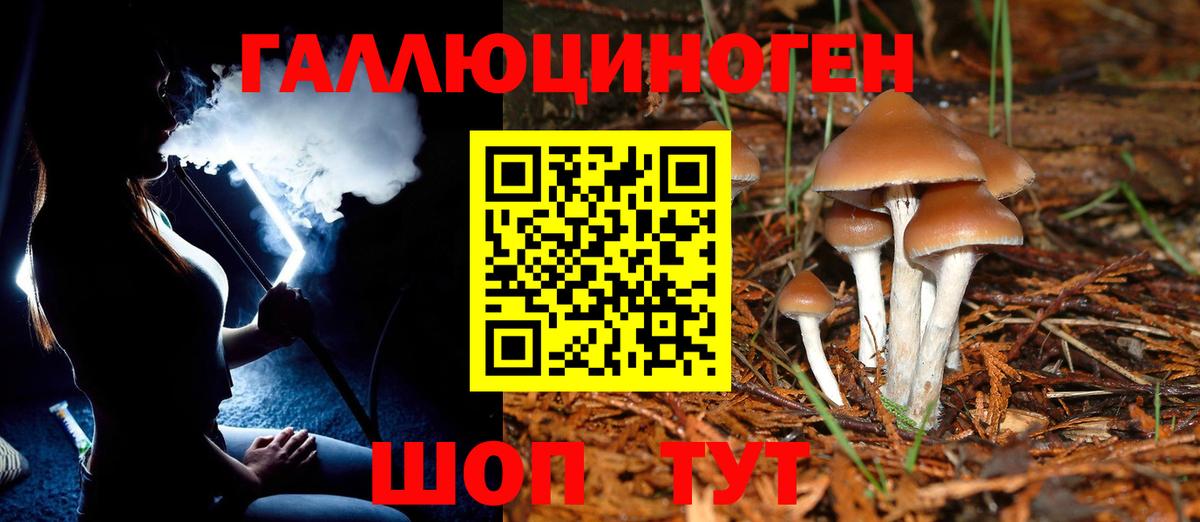 Галлюциногенные грибы Psilocybine cubensis  Псилоцибиновые грибы мицелий  хочу   Луга  Вход с VPN 